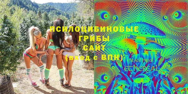 дурь Алексин