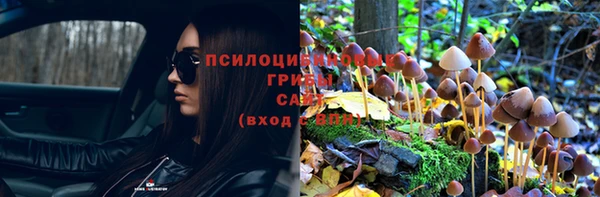круглые Алзамай